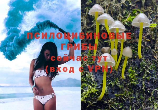 соль ск Алзамай