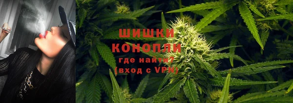 соль ск Алзамай